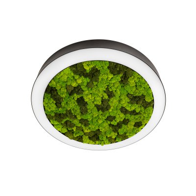 Donolux DL800C72NW Moss Black Donolux DL800C72NW Moss Black