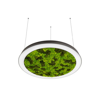 Donolux DL800S72NW Moss Black Donolux DL800S72NW Moss Black