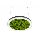 Donolux DL800S72WW Moss Black