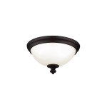 Потолочный светильник Natural concept FE/PARKMAN/F OB PARKMAN