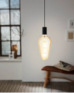 Светодиодная лампа D165 Eglo 11838