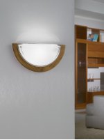 Настенно-потолочный светильник Eglo 3893 UFO 1