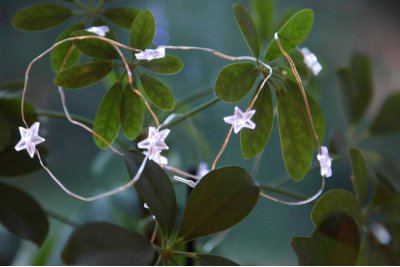 Eglo 411069 Eglo 411069