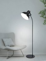 Торшер (напольный светильник) LUBENHAM 1 с ножным выключателем Eglo 43172