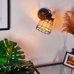 Светильник настено-потолочный ANWICK 1 Eglo 43324