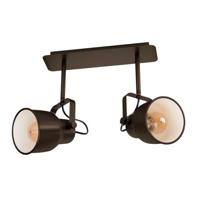 Спот MITCHLEY Eglo 43386