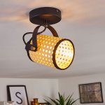 Спот RUSCOMB регул. Eglo 43493