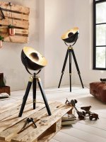 Торшер Eglo 49618