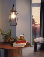 Подвесной светильник Eglo 49791 DENHAM