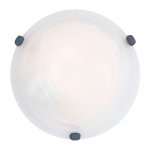 Ветильник настено-потолочный SALOME Eglo 7897