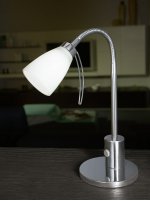 Офисная настольная лампа Eglo 91465 CARIBA 1