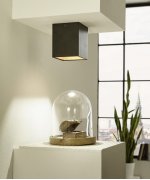 Настенно-потолочный светильник Eglo 94497 POLASSO