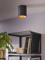 Настенно-потолочный светильник Eglo 94502 POLASSO