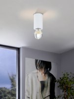 Светильник настено-потолочный SALUZZO Eglo 99066