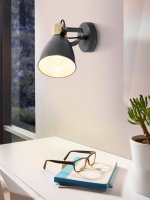 Светильник настено-потолочный COSWARTH Eglo 99074