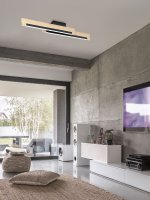 Светодиодный потолочный светильник CAMACHO димм. Eglo 99292