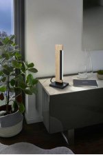 Настольная лампа светодиодная диммируемая CAMACHO Eglo 99295