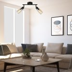 Настенно-потолочный свет Escada 10172/2A E14*40W Black/Amber