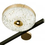 Потолочный светильник Escada 10219/6 LED*78W Black/Gold LIBERTA