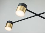 Потолочный светильник Escada 10246/6 LED*56W Black/Gold