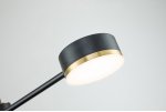Потолочный светильник Escada 10246/6 LED*56W Black/Gold
