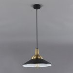 Подвесной светильник Escada 1101/1S E27*40W Black ARIES