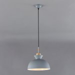 Подвесной светильник Escada 1105/1S E27*40W Grey CRATER