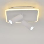 Настенно-потолочный свет Escada 20024SMA/01 LED 31W 4000K белый