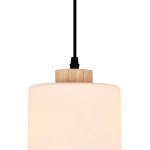 Подвесной светильник 160002/A/1P E27*60W Black