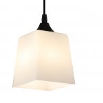 Подвесной светильник 160003/1P E27*60W Black