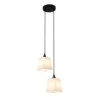 Подвесной светильник 160003/2P E27*60W Black