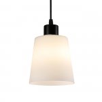 Подвесной светильник 120004/1P E27*60W Black