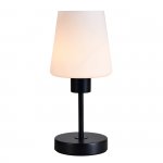 Настольный светильник 120004/1T E27*60W Black