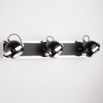 Настенный светильник бра Eurosvet 20056/3 черный