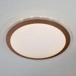 Потолочный светильник Eurosvet 40003/1 LED матовое золото