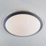 Потолочный светильник Eurosvet 40004/1 LED матовое серебро