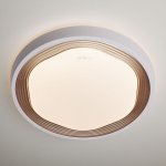 Потолочный светильник Eurosvet 40005/1 LED кофе