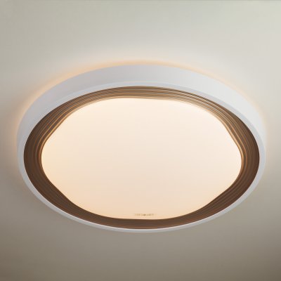

Потолочный светильник Евросвет 40006/1 LED кофе