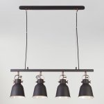 Светильник Eurosvet 50083/4 черный