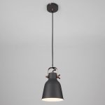 Светильник Eurosvet 50083/1 черный