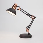 Светильник Eurosvet 01034/1 черный