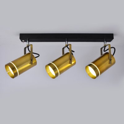 

Светильник Eurosvet 20063/3 LED античная бронза 27W, 20063/3 LED античная бронза