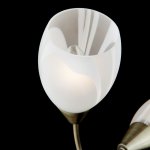 Бра со стеклянными плафонами 2275/2 античная бронза