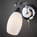 Бра с плафоном и выключателем 22080/1 хром