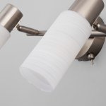 Спот с поворотными плафонами 20043/2 сатин-никель