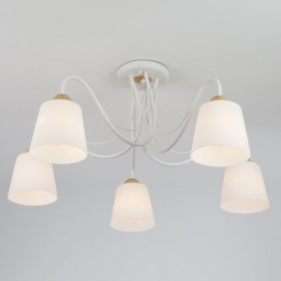 Потолочная люстра со стеклянными плафонами 70062/5 белый
