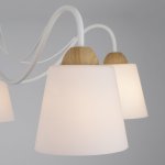 Потолочная люстра со стеклянными плафонами 70062/5 белый