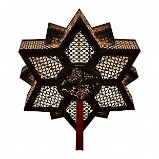 Потолочный светильник Exotic lamp D-1211 Danejy