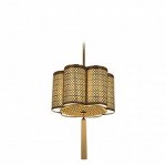 Подвесной светильник Exotic lamp D-1342 Danejy