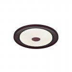 Потолочный светильник Favourite 2536-6C Dafna